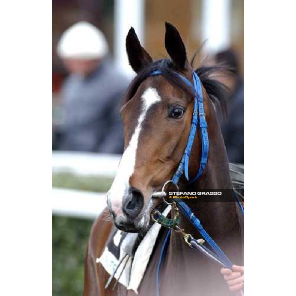 Pisa San Rossore race track march 10 2004 ph.Stefano Grasso