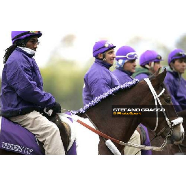 Breeders\' Cup 2005 at Belmont Park New York, 29th october 2005 ph. Stefano Grasso