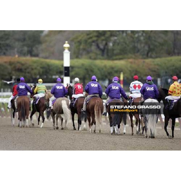 runners of The Alberto VO5 Breeders\' Cup Juvenile Fillies New York, 29th october 2005 ph. Stefano Grasso
