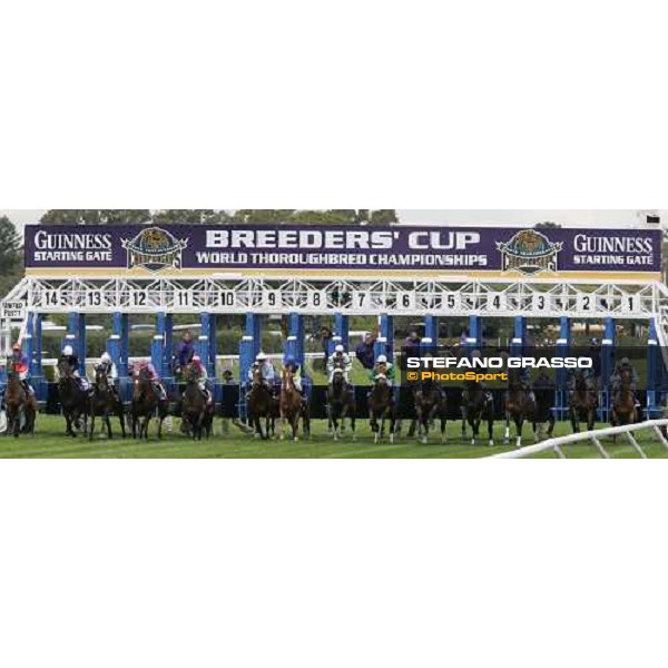 start of the Emirates Airline Breeders\' Cup Filly \' Mare Turf New York, 29th october 2005 ph. Stefano Grasso