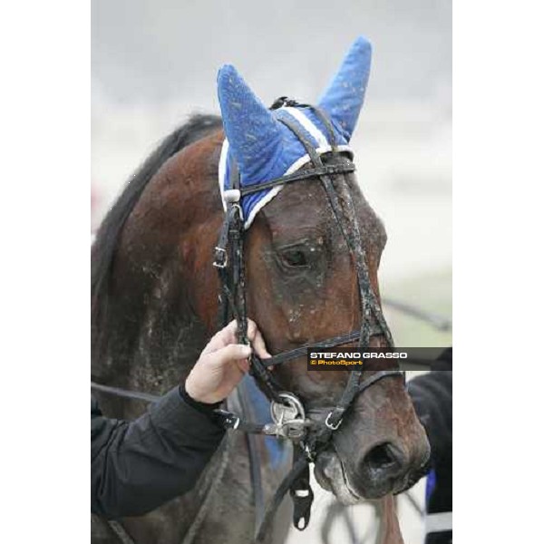 clsoe up for Fairbank Gi after the victory in the 1st heat of Gran Premio Paolo e Orsino Orsi Mangelli Milan, 1st november 2005 ph. Stefano Grasso