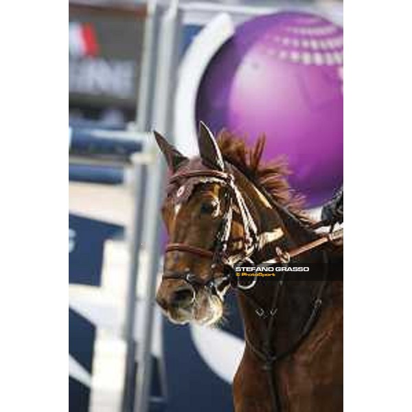 Jumping Verona - class 14 Longines Fei World Cup Jumping - Premio Fixdesign Simon Delestre on Hermes Ryan Verona,8th nov.2015 ph.Stefano Grasso/Fieracavalli