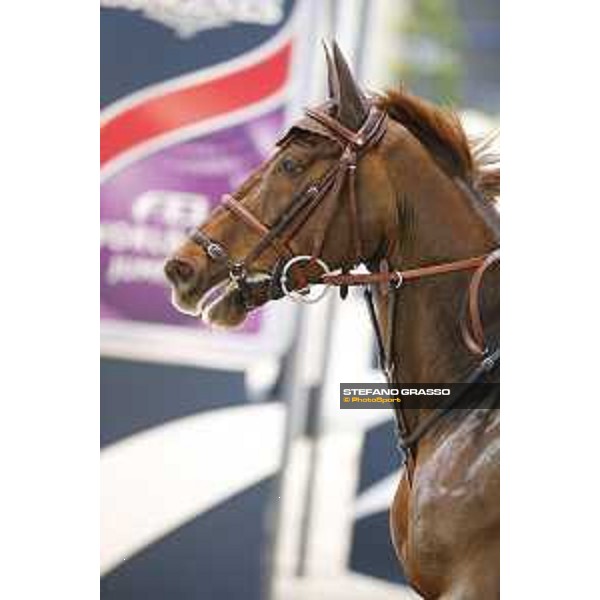 Jumping Verona - class 14 Longines Fei World Cup Jumping - Premio Fixdesign Simon Delestre on Hermes Ryan Verona,8th nov.2015 ph.Stefano Grasso/Fieracavalli