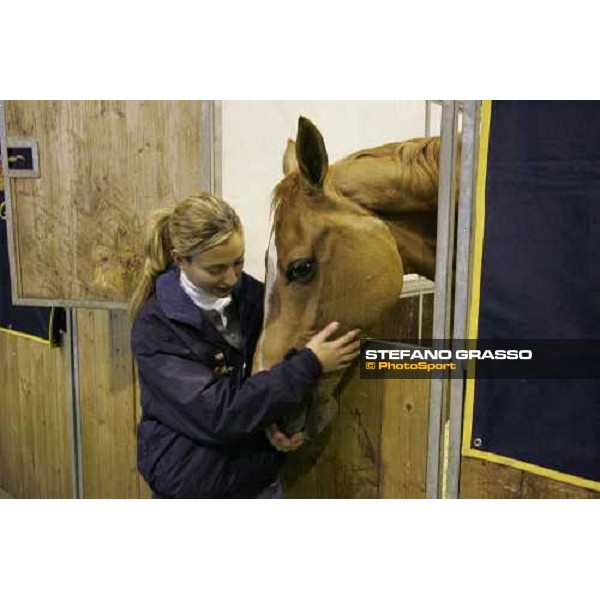 Beatrice Patrese con Insolent de Vima Verona - 107.a Fiera Cavalli Verona, 5 novembre 2005 ph. Stefano Grasso