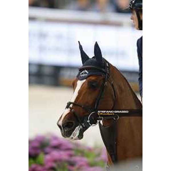 Jumping Verona 2015 - Longines FEI World Cup Jumping - Premio Fixdesign Bertram Allen on Romanov Verona,08/11/2015 ph.Stefano Grasso/Jumping Verona