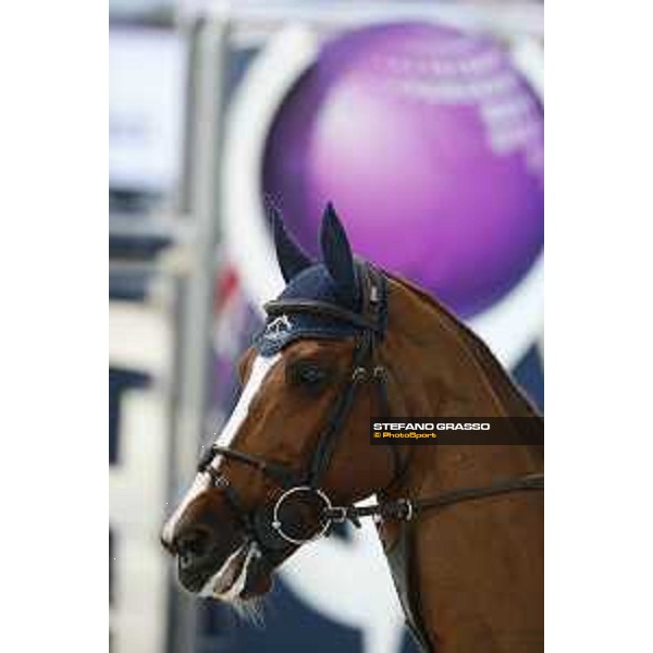 Jumping Verona 2015 - Longines FEI World Cup Jumping - Premio Fixdesign Bertram Allen on Romanov Verona,08/11/2015 ph.Stefano Grasso/Jumping Verona