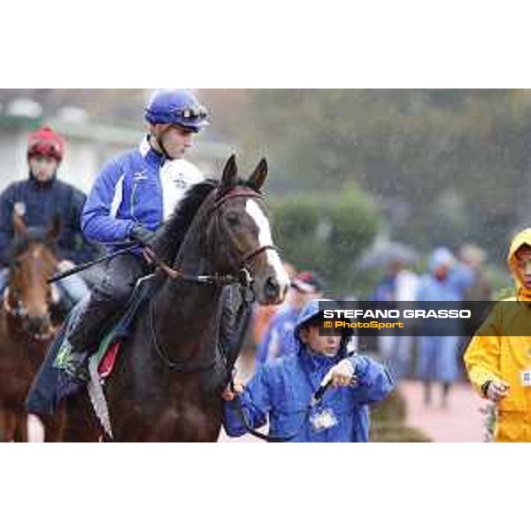 Morning track works at Fuchu racecourse Ito Tokyo,26th nov.2015 ph.Stefano Grasso