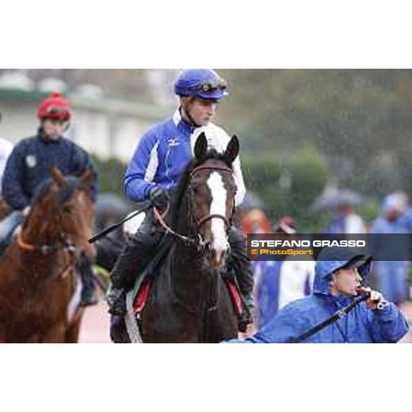 Morning track works at Fuchu racecourse Ito Tokyo,26th nov.2015 ph.Stefano Grasso