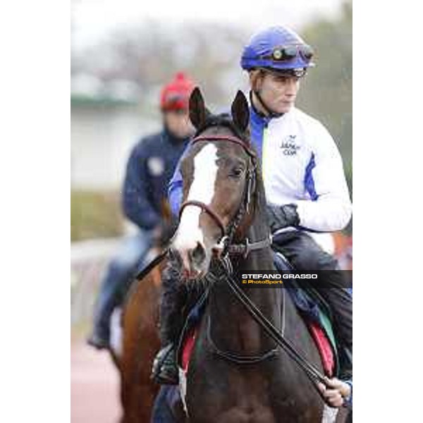 Morning track works at Fuchu racecourse Ito Tokyo,26th nov.2015 ph.Stefano Grasso