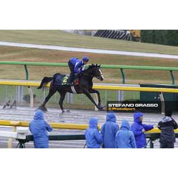 Morning track works at Fuchu racecourse Ito Tokyo,26th nov.2015 ph.Stefano Grasso