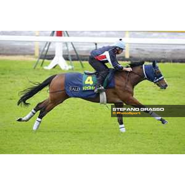 Morning track works at Fuchu racecourse Trip To Paris Tokyo,26th nov.2015 ph.Stefano Grasso