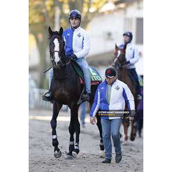 Morning track works at Fuchu racecourse Ito Tokyo,27th nov.2015 ph.Stefano Grasso