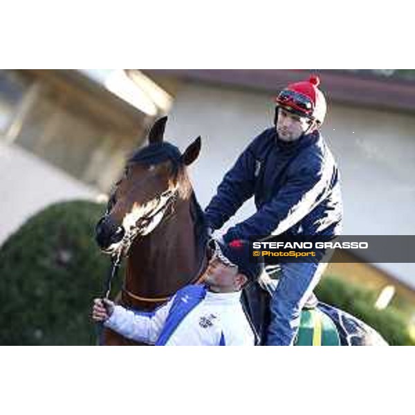 Morning track works at Fuchu racecourse Erupt Tokyo,27th nov.2015 ph.Stefano Grasso