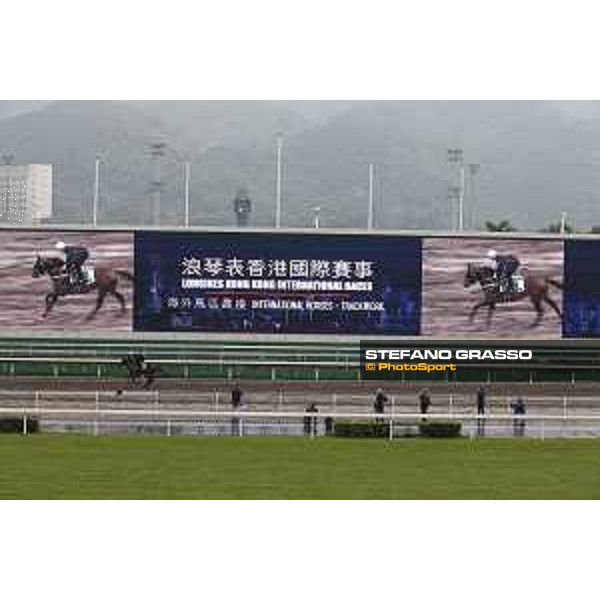 Longines Hong Kong International Races - morning track works Preferment Sha Tin racecourse,9th dec.2015 ph.Stefano Grasso/Longines