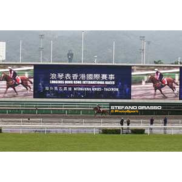 Longines Hong Kong International Races - morning track works Criterion Sha Tin racecourse,9th dec.2015 ph.Stefano Grasso/Longines