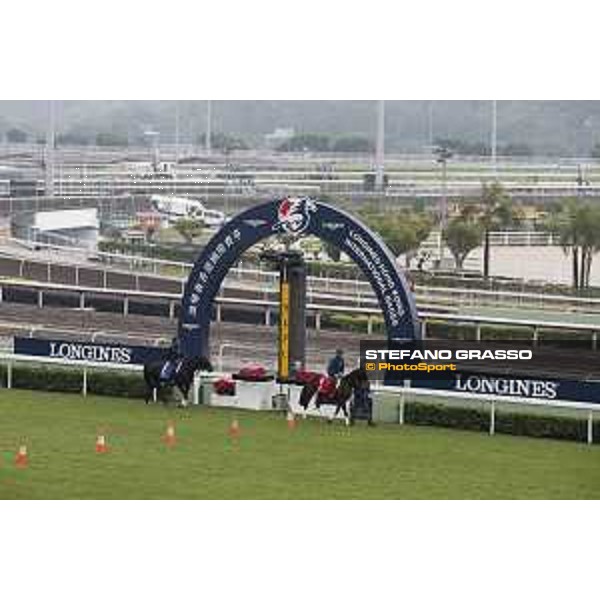 Longines Hong Kong International Races - morning track works Staphanos and Fiero Sha Tin racecourse,9th dec.2015 ph.Stefano Grasso/Longines