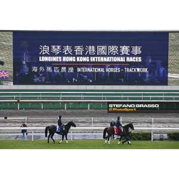 Longines Hong Kong International Races - morning track works Staphanos and Fiero Sha Tin racecourse,9th dec.2015 ph.Stefano Grasso/Longines
