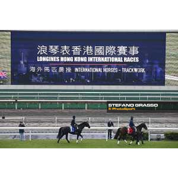 Longines Hong Kong International Races - morning track works Staphanos and Fiero Sha Tin racecourse,9th dec.2015 ph.Stefano Grasso/Longines