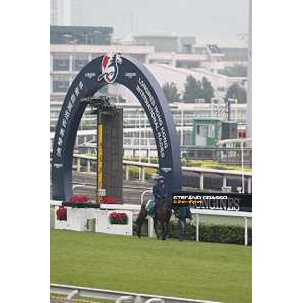 Longines Hong Kong International Races - morning track works Ming Dinasty Sha Tin racecourse,9th dec.2015 ph.Stefano Grasso/Longines