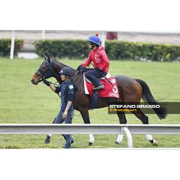 Longines Hong Kong International Races - morning track works Staphanos Sha Tin racecourse,9th dec.2015 ph.Stefano Grasso/Longines