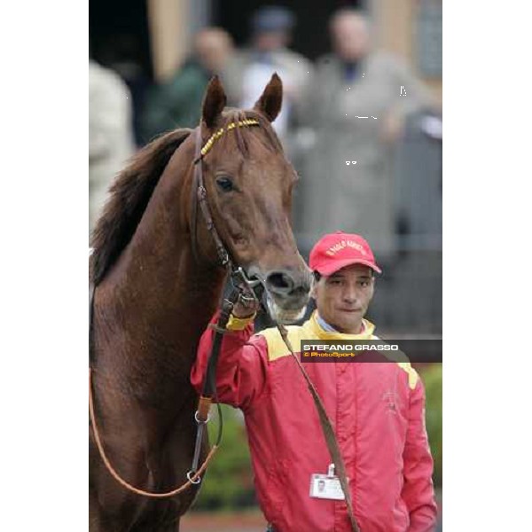 close up for St Paul House winner of Premio Umbria Rome, 6th november 2005 ph. Stefano Grasso