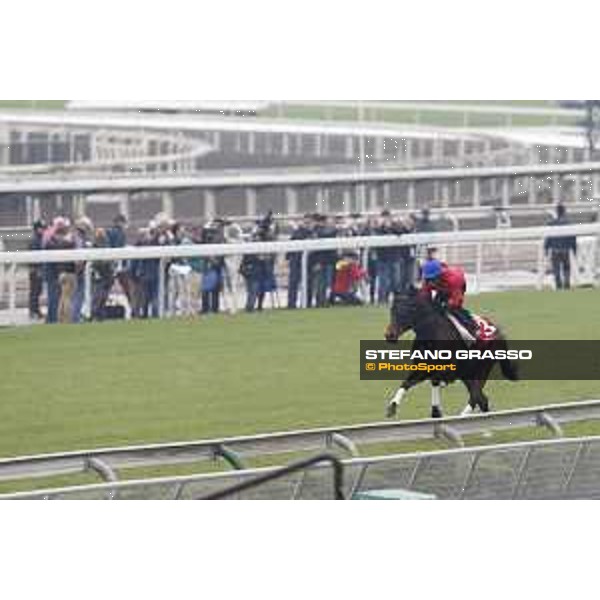 Longines Hong Kong International Races - morning track works Staphanos Sha Tin racecourse,9th dec.2015 ph.Stefano Grasso/Longines