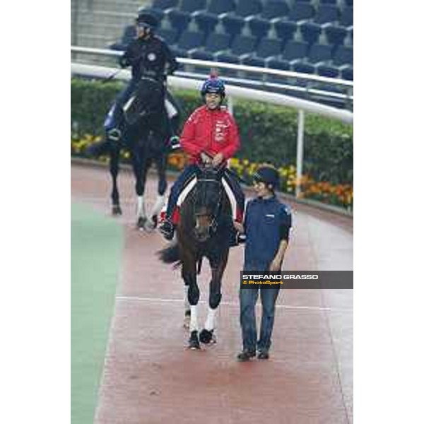 Longines Hong Kong International Races - morning track works Staphanos and Fiero Sha Tin racecourse,9th dec.2015 ph.Stefano Grasso/Longines
