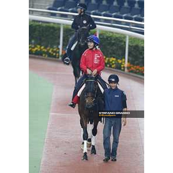 Longines Hong Kong International Races - morning track works Staphanos and Fiero Sha Tin racecourse,9th dec.2015 ph.Stefano Grasso/Longines