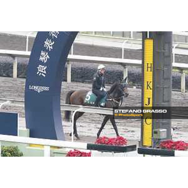 Longines Hong Kong International Races - morning track works Preferment Sha Tin racecourse,9th dec.2015 ph.Stefano Grasso/Longines