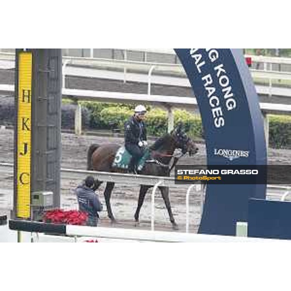Longines Hong Kong International Races - morning track works Preferment Sha Tin racecourse,9th dec.2015 ph.Stefano Grasso/Longines