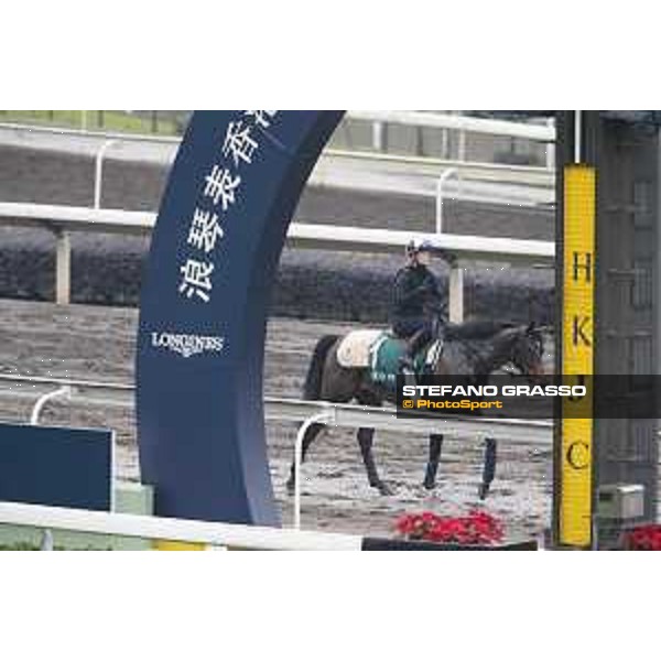 Longines Hong Kong International Races - morning track works Flintshire Sha Tin racecourse,9th dec.2015 ph.Stefano Grasso/Longines