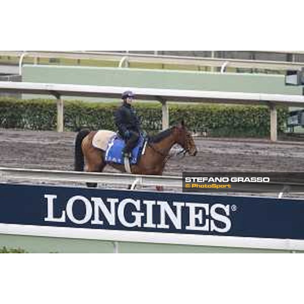 Longines Hong Kong International Races - morning track works Maurice Sha Tin racecourse,9th dec.2015 ph.Stefano Grasso/Longines