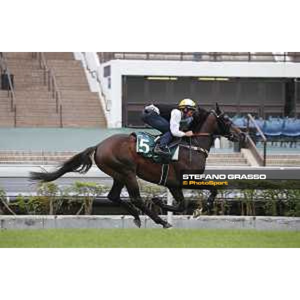 Longines Hong Kong International Races - morning track works at Sha Tin racecourse Preferment Sha Tin racecourse,10th dec. 2015 ph.Stefano Grasso/Longines