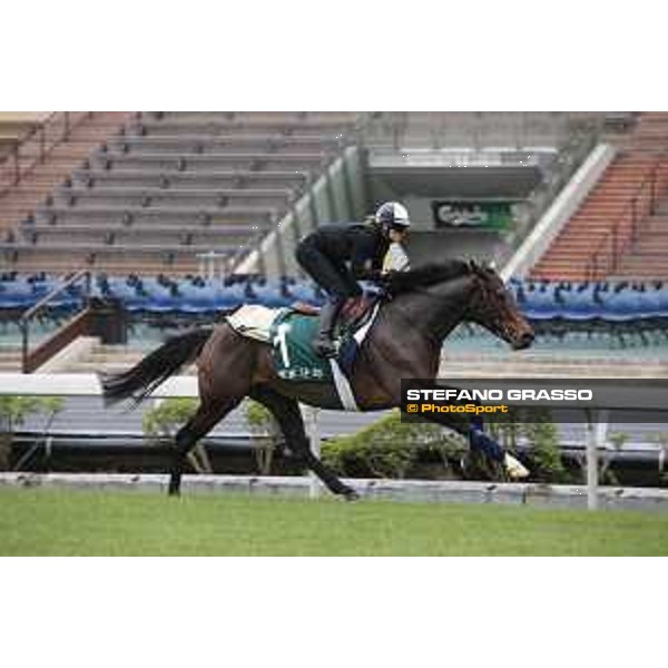 Longines Hong Kong International Races - morning track works at Sha Tin racecourse Flintshire Sha Tin racecourse,10th dec. 2015 ph.Stefano Grasso/Longines