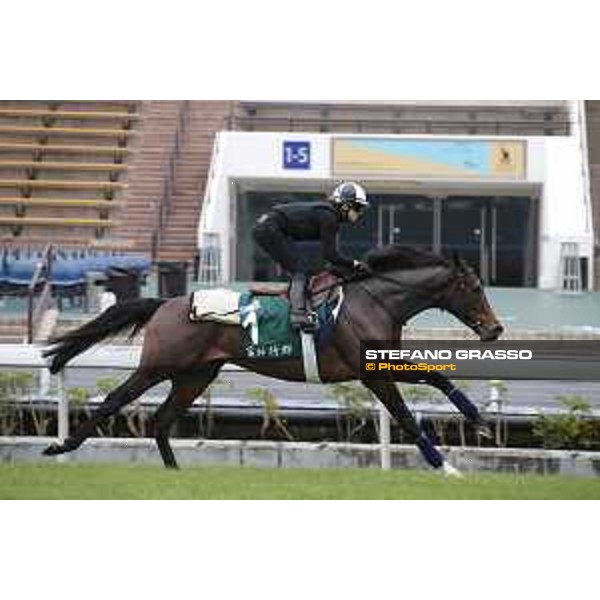 Longines Hong Kong International Races - morning track works at Sha Tin racecourse Flintshire Sha Tin racecourse,10th dec. 2015 ph.Stefano Grasso/Longines