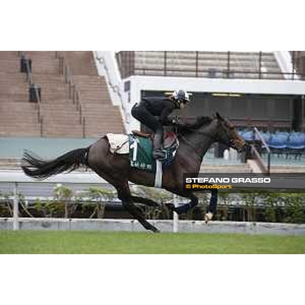 Longines Hong Kong International Races - morning track works at Sha Tin racecourse Flintshire Sha Tin racecourse,10th dec. 2015 ph.Stefano Grasso/Longines
