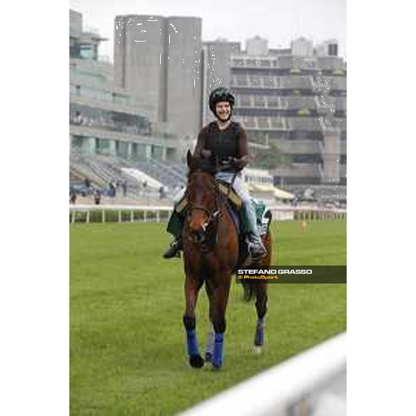 Longines Hong Kong International Races - morning track works at Sha Tin racecourse Cirrus des Aigles Sha Tin racecourse,10th dec. 2015 ph.Stefano Grasso/Longines