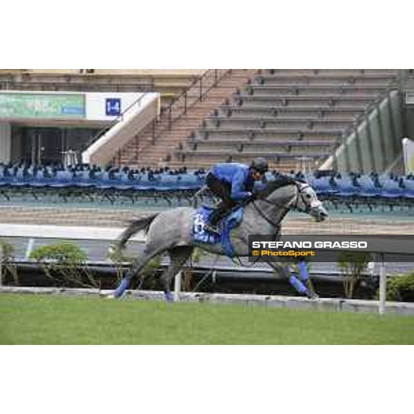 Longines Hong Kong International Races - morning track works at Sha Tin racecourse Danon Platina Sha Tin racecourse,10th dec. 2015 ph.Stefano Grasso/Longines