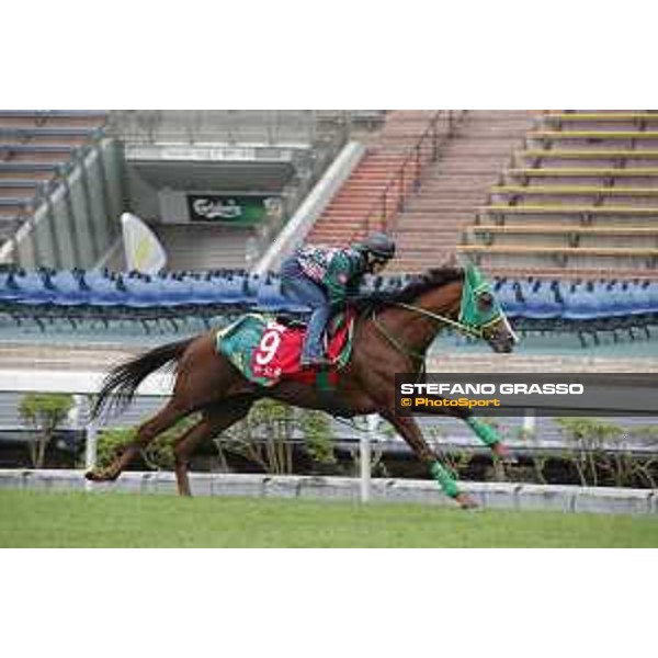 Longines Hong Kong International Races - morning track works at Sha Tin racecourse Nuovo Record Sha Tin racecourse,10th dec. 2015 ph.Stefano Grasso/Longines