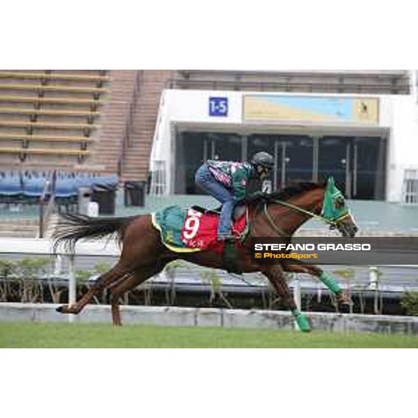 Longines Hong Kong International Races - morning track works at Sha Tin racecourse Nuovo Record Sha Tin racecourse,10th dec. 2015 ph.Stefano Grasso/Longines