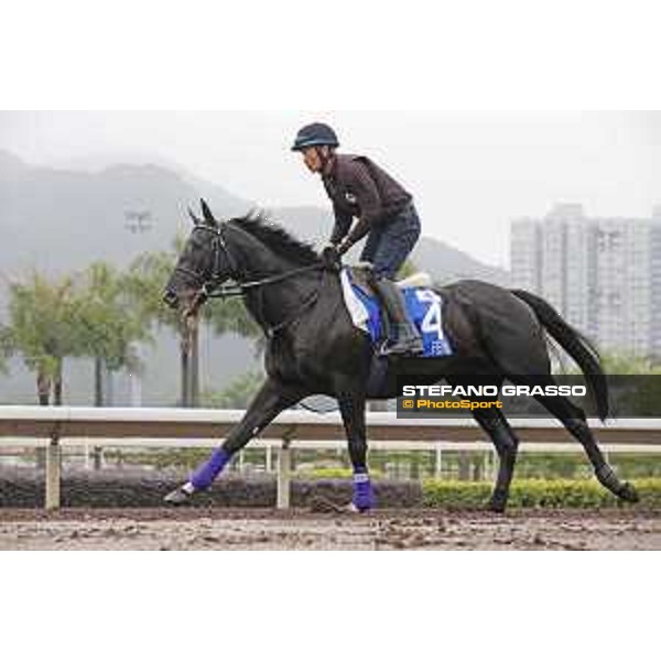 Longines Hong Kong International Races - morning track works at Sha Tin racecourse Fiero Sha Tin racecourse,10th dec. 2015 ph.Stefano Grasso/Longines