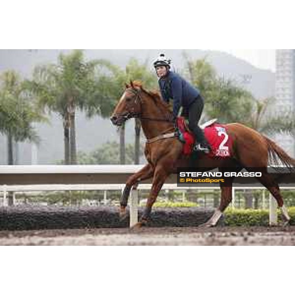 Longines Hong Kong International Races - morning track works at Sha Tin racecourse Criterion Sha Tin racecourse,10th dec. 2015 ph.Stefano Grasso/Longines