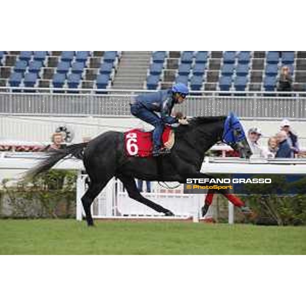 Longines Hong Kong International Races - morning track works at Sha Tin racecourse A Shin Hikari Sha Tin racecourse,10th dec. 2015 ph.Stefano Grasso/Longines