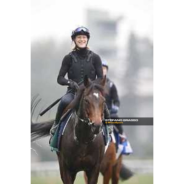 Longines Hong Kong International Races - morning track works at Sha Tin racecourse Flintshire Sha Tin racecourse,10th dec. 2015 ph.Stefano Grasso/Longines