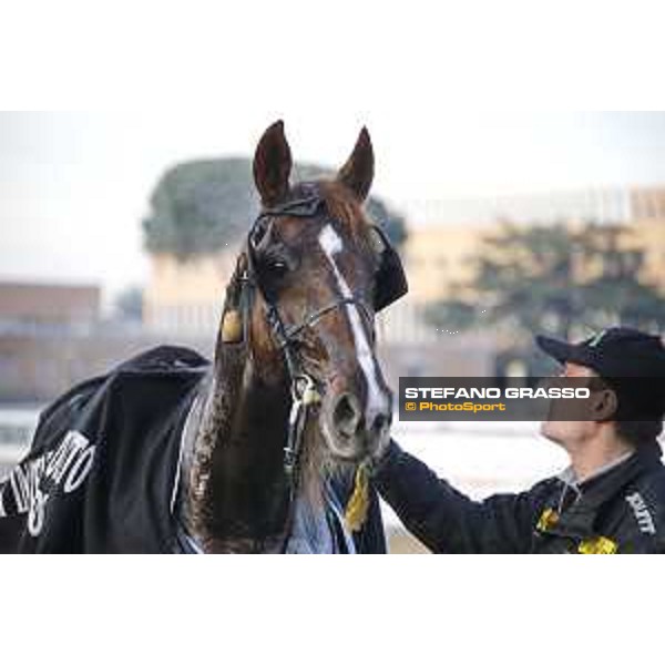 Oropuro Bar winner of Gran Premio Gala Internazionale del Trotto Roma, Capannelle racecourse,26/12/2015 ph.Stefano Grasso/HippoGroup Roma Capannelle