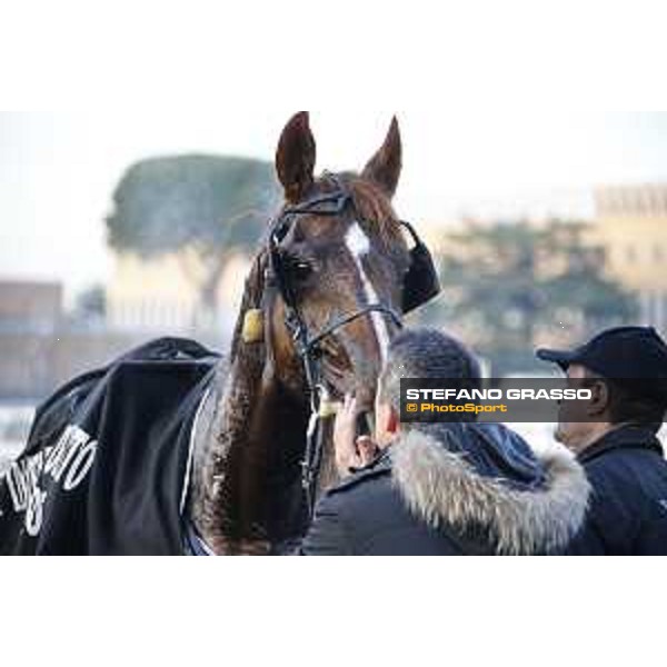 A kiss to Oropuro Bar winner of Gran Premio Gala Internazionale del Trotto Roma, Capannelle racecourse,26/12/2015 ph.Stefano Grasso/HippoGroup Roma Capannelle