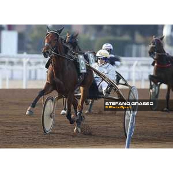 Roberto Andreghetti with United Roc wins the Gran Premio Allevatori Filly Rome Capannelle racecourse 26/12/2015 ph.Stefano Grasso/HippoGroup Roma Capannelle