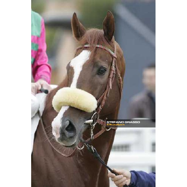 close up for Altieri Rome, 6th november 2005 ph. Stefano Grasso