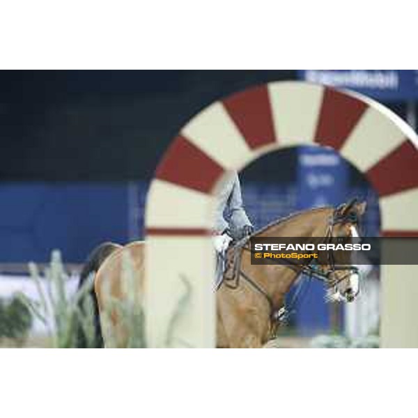 Philipp Wishaupt Liberty Son Doha,5th march 2016 ph.©.CHI Al Shaqab/Stefano Grasso all rights reserved
