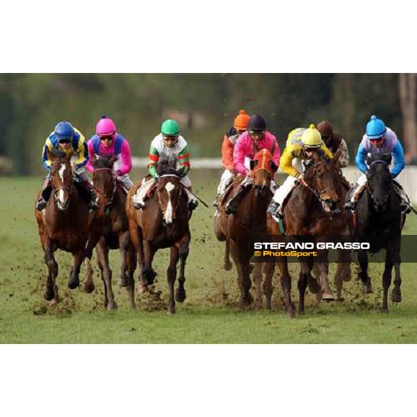 Pisa San Rossore race track march 10 2004 ph. Stefano Grasso